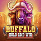 Buffalo Hold and Win